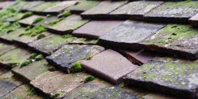 Wilbarston roof repair costs